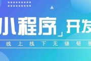 成都小程序开发公司的发展现状及趋势（以成都为中心）