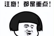 解决马桶漏水的方法（掌握这些修理技巧）