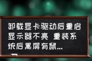 电脑显示器不亮的原因及解决方法（了解电脑显示器不亮的常见问题和应对策略）