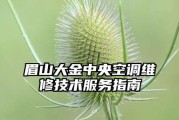 眉山中央空调维修价格调查与解析（眉山中央空调维修价格的因素和差异分析）