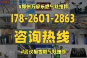 樱雪热水器E2故障解决方法（VIP专业维修为您提供有效的解决方案）