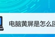 探究电脑暗屏原因及解决方法（电脑突然变黑屏）