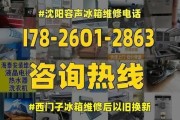 解决容声风冷冰箱故障代码E1的方法（掌握维修技巧）