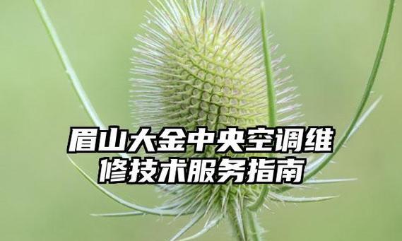 眉山中央空调维修价格调查与解析（眉山中央空调维修价格的因素和差异分析）